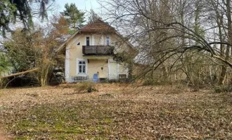 Linz-Ebelsberg > Stilvolles Einfamilienhaus in Grün-Oase (SANIERUNGSBEDÜRFTIG)