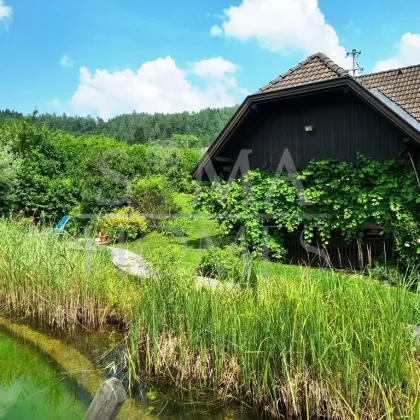 Ludmannsdorf: Charmante Naturresidenz mit Schwimmbiotop & Weitblick - Bild 3