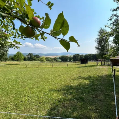 Traumhaftes Reitparadies in 7461 Stadtschlaining gelangt zum Verkauf: Einzigartige Chance für Pferdeliebhaber - Bild 2