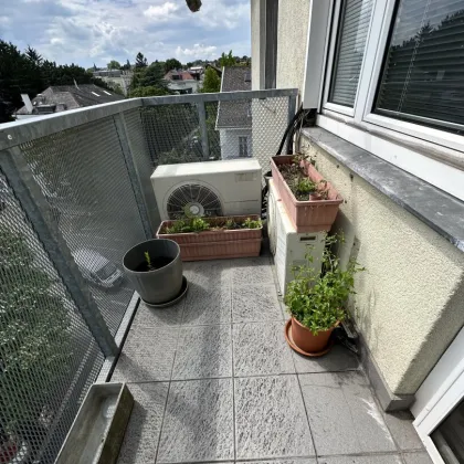 2 x sanierungsbedürftige (nebeneinanderliegende) Wohnungen (Top 16 + Top 17) mit ca. 153 m2 Gesamtfläche inkl. ein Balkon und zwei Loggia in Oberdöbling zum Verkauf! - Bild 2