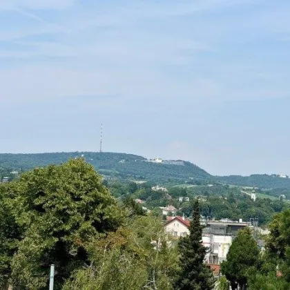 Dachgeschoßloft mit Terrasse in Ruhelage - Bild 2