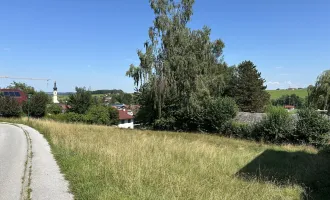 Baugrundstück in Berndorf - Salzburger Seenland