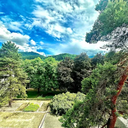 *STADTPARK* I  MODERNE KÜCHE I BADEWANNE I I TOP-SANIERT I LETZTER STOCK I HAUSTIERE WILLKOMMEN I NÄHE HAUPTPLATZ I AB SOFORT I - Bild 3