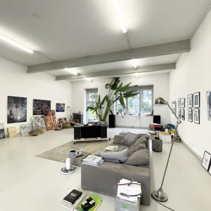 Loft mit südseitigem Balkon in der Brotfabrik Wien! - Bild 3