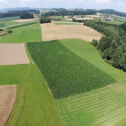 Grundstück mit landwirtschaftlicher Nutzung in 4724 Eschenau/Altenberg - Bild 2