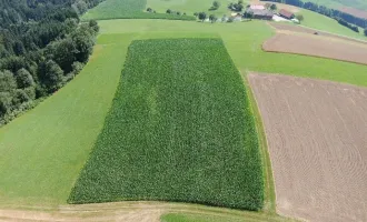 Grundstück mit landwirtschaftlicher Nutzung in Altenberg