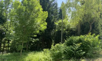 neuer Preis: idyllisches Baugrundstück ohne Bauzwang in Jeging, nahe Lochen am See