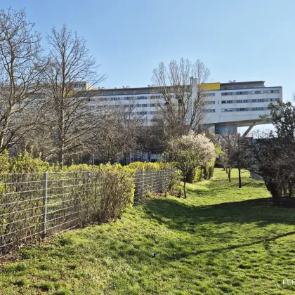 Wunderschöne Maisonette im 7. und 8. Stock mit atemberaubendem Wien-Blick - Wohnqualität am Jungbürgerwald! - Bild 3