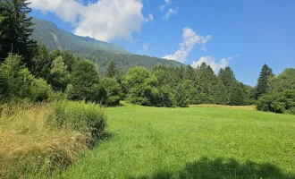 Aufgepasst 3 Grundstücke: Traumhafte Grundstücke in idyllischer Lage in Penk, Kärnten - 8.740 m² zum Verwirklichen Ihrer Träume!