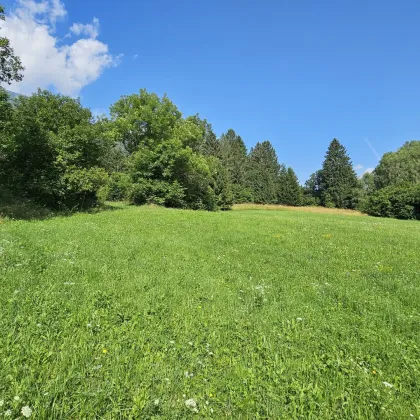 Aufgepasst 3 Grundstücke: Traumhafte Grundstücke in idyllischer Lage in Penk, Kärnten - 8.740 m² zum Verwirklichen Ihrer Träume! - Bild 2