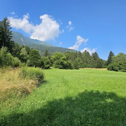 Aufgepasst 3 Grundstücke: Traumhafte Grundstücke in idyllischer Lage in Penk, Kärnten - 8.740 m² zum Verwirklichen Ihrer Träume! - Bild 3