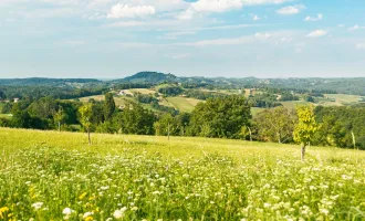 Landwirtschaftliches Anwesen im Rohbau – Gestalten Sie Ihre Zukunft