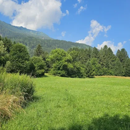 1 Grundstück - Ihr neues Zuhause in einer malerischen Lage in Penk. Ideal auch für Tierhaltung/Landwirtschaft. - Bild 3