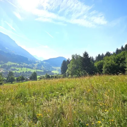 1 Grundstück - Ihr neues Zuhause in einer malerischen Lage in Penk. Ideal auch für Tierhaltung/Landwirtschaft. - Bild 2