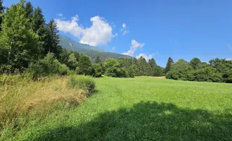 1 Grundstück - Ihr neues Zuhause in einer malerischen Lage in Penk. Ideal auch für Tierhaltung/Landwirtschaft.