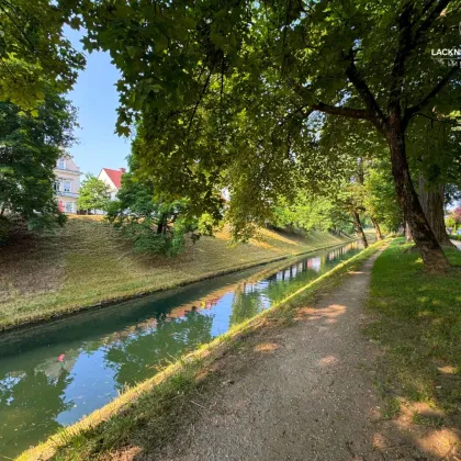 TOP Wohnung + Tiefgaragenparkplatz im Villenviertel am Lendkanal - ZU VERMIETEN! - Bild 2