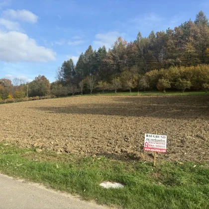 Großzügiges 4.069m² großes, sonniges Baugrundstück - Bild 2