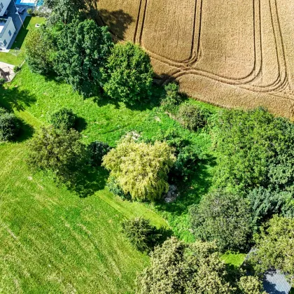 Traumhaftes Baugrundstück in St. Magdalena am Lemberg - Aussichtslage für Ihr Eigenheim! - Bild 3