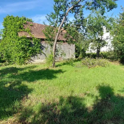 Bauernhaus samt Stadel und Garten in Deutsch-Schützen-Eisenberg - Bild 3