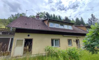 Sanierungsbedürftige Haushälfte in ruhiger Grünlage, 6 Zimmer mit Garage, Garten und 7.500 m² Wald