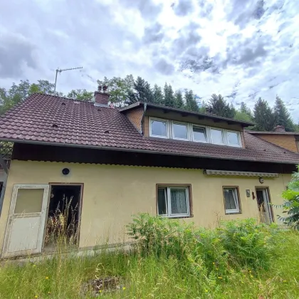 Sanierungsbedürftige Haushälfte in ruhiger Grünlage, 6 Zimmer mit Garage, Garten und 7.500 m² Wald - Bild 3