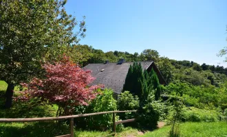 EINFAMILIENHAUS in Ruhelage und Grünblick