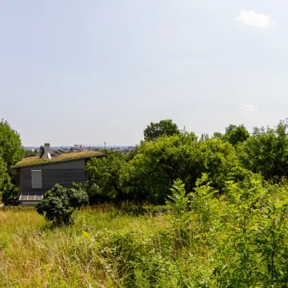 Letzter Baugrund direkt am Waldrand - Mödlinger Zentrumslage, 2 Baugründe, unverbaubarer Fernblick, 703 m² (647 m²)  - Bild 2