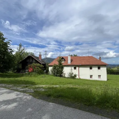 FORSTWIRTSCHAFTICHE LIEGENSCHAFT MIT FERIENHAUS UND SANIERUNGSBEDÜRFTIGEN HAUPTGEBÄUDE - Bild 3