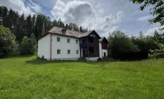 FORSTWIRTSCHAFTICHE LIEGENSCHAFT MIT FERIENHAUS UND SANIERUNGSBEDÜRFTIGEN HAUPTGEBÄUDE