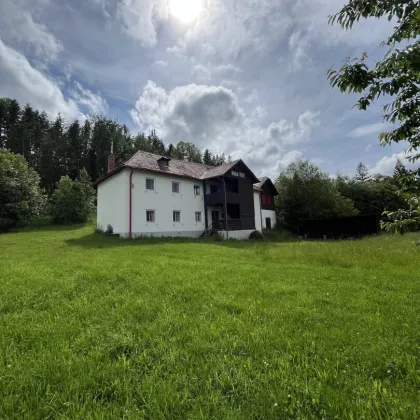 FORSTWIRTSCHAFTICHE LIEGENSCHAFT MIT FERIENHAUS UND SANIERUNGSBEDÜRFTIGEN HAUPTGEBÄUDE - Bild 2