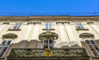 Gut aufgeteiltes Büro - zentral begehbar - historisches Palais - Nähe Hofburg