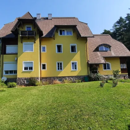 Ehemalige Pension mit Potential - B&B, Seminarzentrum, Altersresidenz - vieles ist möglich - inkl 3000m² Baugrund ! - Bild 3