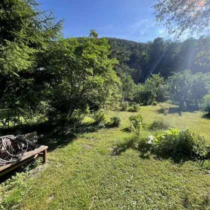 Traumhaftes Baugrundstück in idyllischer Lage der Hinterbrühl - Perfekt für Ihr Eigenheim! - Bild 2