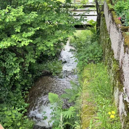 Zurück zur Natur in Kirchberg. Einzigartiges Baugrundstück, ca. 20-30% bebaubar, in absoluter Ruhe- & Naturlage. (gesamt ca. 4.700m²) - Bild 3