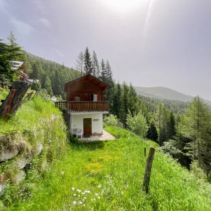 NATURJUWEL UND ABSOLUTE RARITÄT AM TSCHIERNOCK - OBERHALB DES MILLSTÄTTER SEES! HIGHLIGHT: FREIZEITWOHNSITZWIDMUNG! - Bild 2