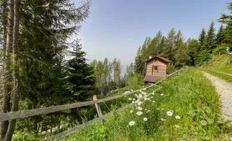 NATURJUWEL UND ABSOLUTE RARITÄT AM TSCHIERNOCK - OBERHALB DES MILLSTÄTTER SEES! HIGHLIGHT: FREIZEITWOHNSITZWIDMUNG!