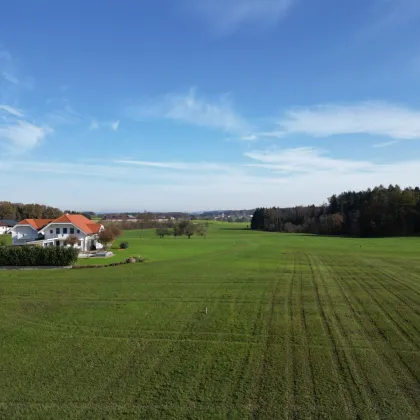 Baugrund im Trumer Seengebiet - Bild 3