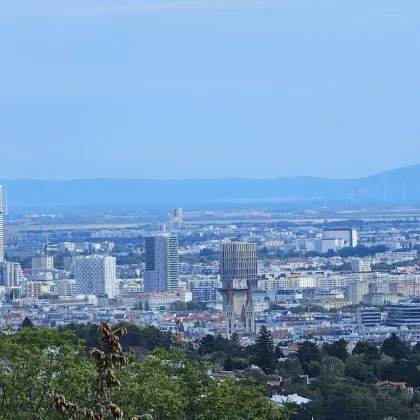 Doppelhaus oder Einfamilienhaus  - DER BLICK! - Bild 2