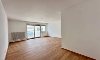 NEUER PREIS - renovierte 4-Zimmer-Wohnung - perfekt für eine große Familie, eine WG oder für Anleger