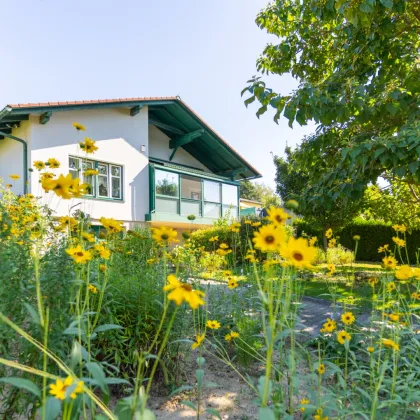 Wohnen auf einer Ebene! Gemütliches Haus mit Pool und wunderschönem Garten - Bild 2