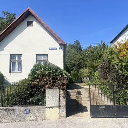 Haus in Grünruhelage mit Sanierungsbedarf - Bild 3