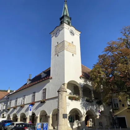 Charmantes Winzerhaus mit großem Weinkeller in bester Lage - Gumpoldskirchen - Bild 3