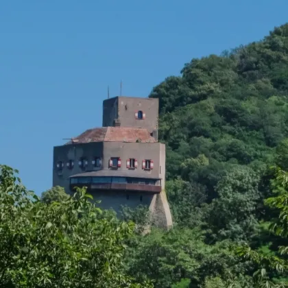 ** EINFAMILIENHAUS INKL. NEBENGEBÄUDE MIT BURG GREIFENSTEIN-BLICK ** GROßZÜGIGER GARTEN MIT POOL ** GARTENHÜTTE ** PROFI-PELLETS-ANLAGE ** - Bild 2