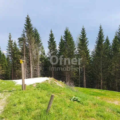 Auffi auf die Alm! Sonniger Baugrund - Bild 2