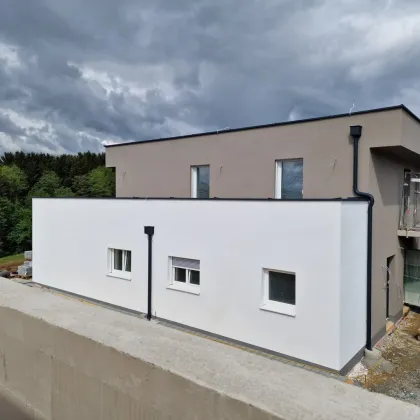 Reserviert! Modernes Wohnen im Grünen - Erstbezug in Groß Sankt Florian, Steiermark für nur 269.900,00 €! Einzugsbereit! - Bild 3