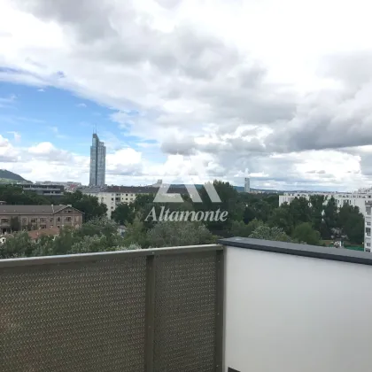 Blick über Wien  bis Kahlenberg - Balkon und Tiefgarage - Bild 3