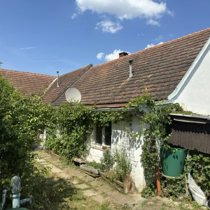 Sanierungsbedürftiges Haus mit Nebengebäude und Carport - Bild 3