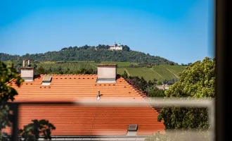 Hoch oben | Dachterrasse | Panoramablick bis zum Kahlenberg | klimatisierte Räume inklusive |