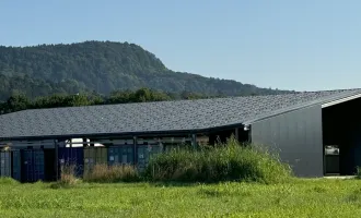 Modernes Gewerbeobjekt mit 1220m² Fläche und 300 kWp PV-Anlage (PV-Ertrag ca. 3.000,- / Mo) - Top Preis-Leistungs-Verhältnis!