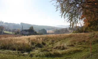 Sonniges Baugrundstück in Grieselstein